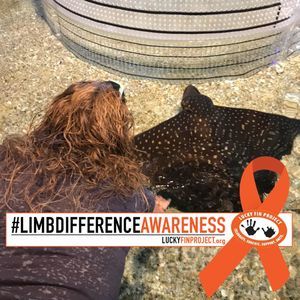 Meet your Posher, Tracie